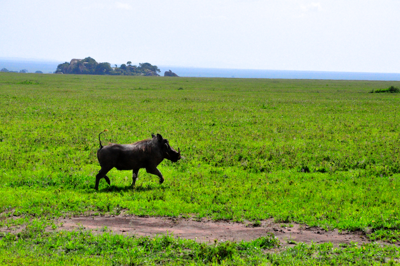 Melanie Heinrich Travel Images Africa